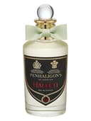 Halfeti EDP